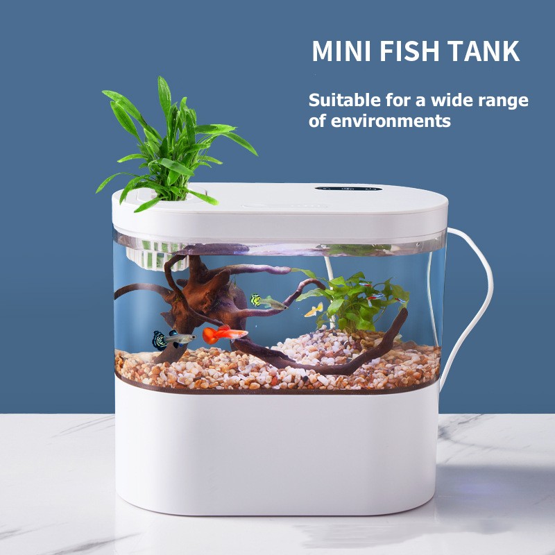 Marine Aquarium Water Change - 미니 데스크탑 수족관 생화학 여과 시스템과