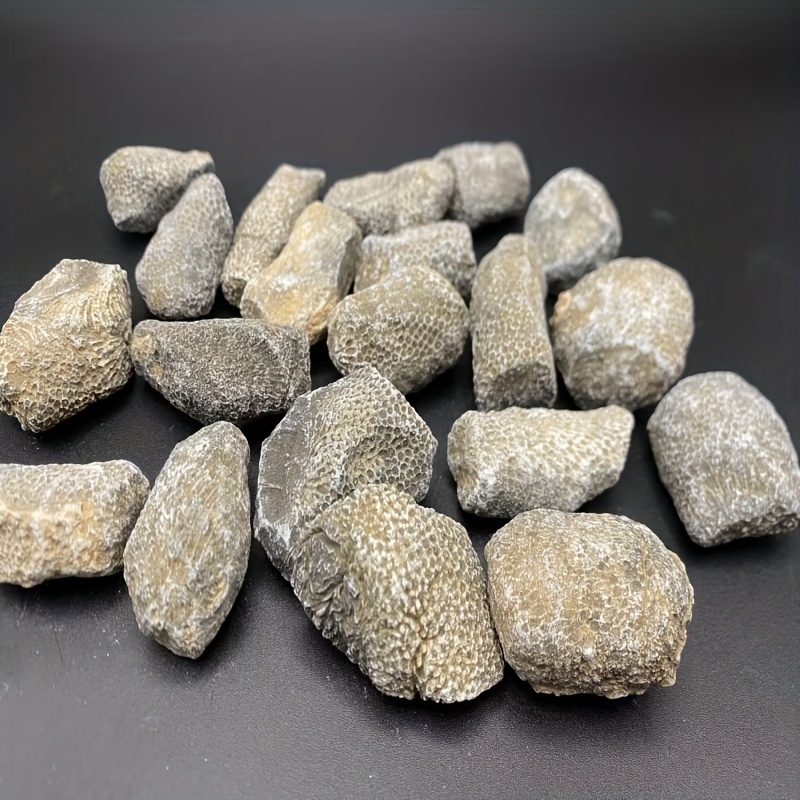 Aquarium Marine Rock - 1개 천연 산호석 어항 및 수족관용