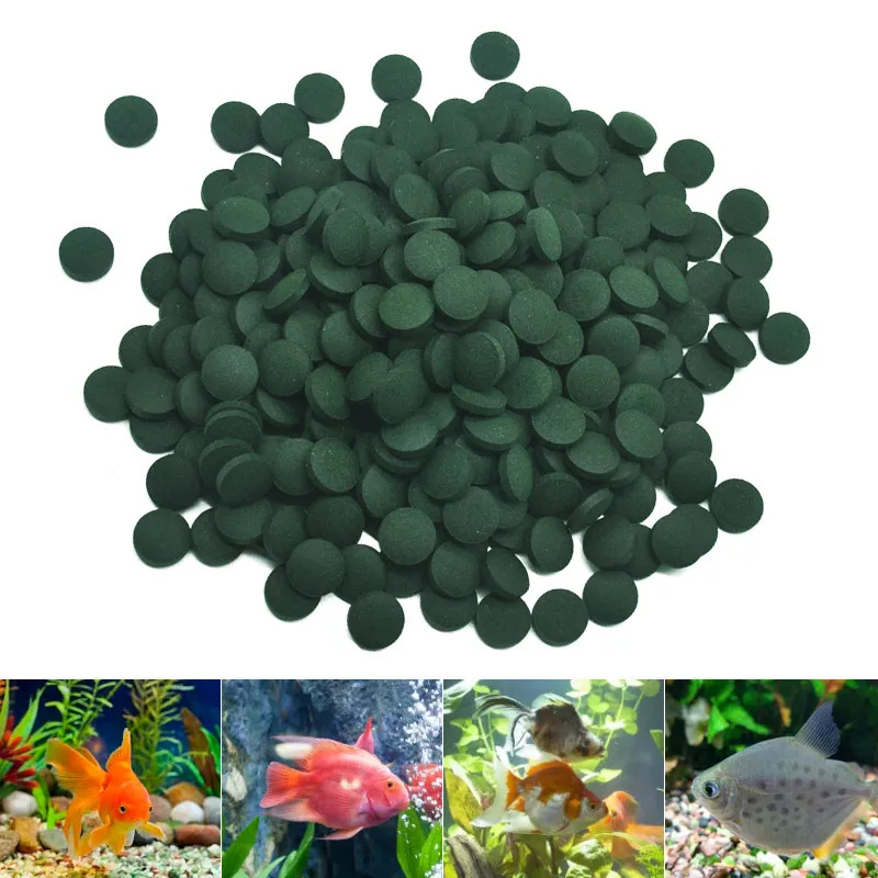 100-3000개 고순도 스피룰리나 정제 나선형 해조류 - Marine Aquarium Bacteria 리뷰 및 가격