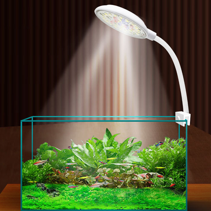 USB 어항 소형 클립 라이트 수초 라이트 LED 3/ - Marine Aquarium Water Change 리뷰 및 가격
