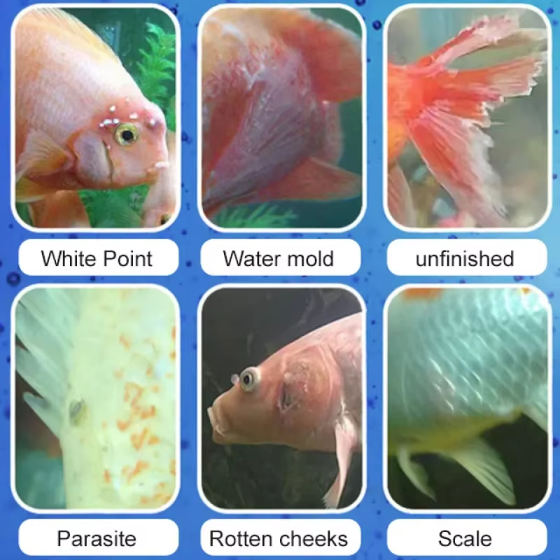 시케잔 어류 질병 치료 및 질소화 세균 |   담수/해 - Marine Aquarium Bacteria 리뷰 및 가격