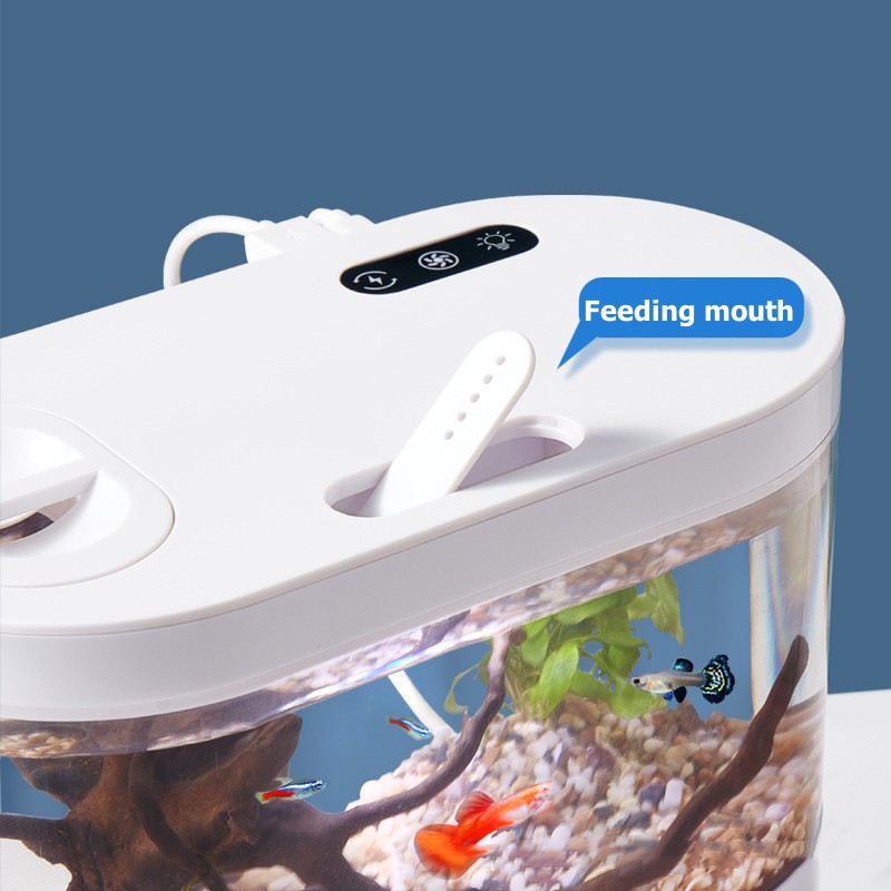 미니 데스크탑 수족관 생화학 여과 시스템과 LED 무교 - Marine Aquarium Water Change 리뷰 및 가격