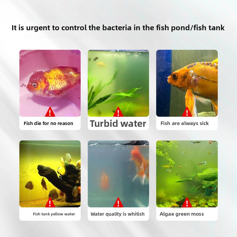 HUACHU 담수어용 수족관 소금 - 질병 예방 및 스 - Marine Aquarium Bacteria 리뷰 및 가격