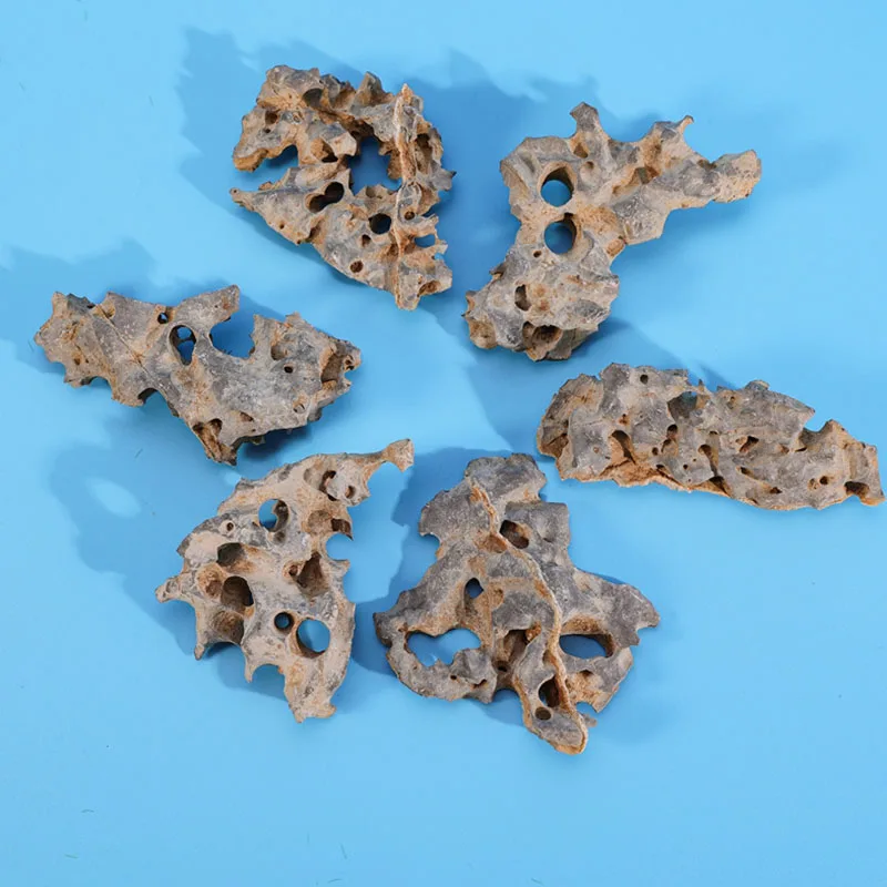 1pcs 4-6cm 자연 수족관 장식 돌 Rockery - Aquarium Marine Rock 리뷰 및 가격