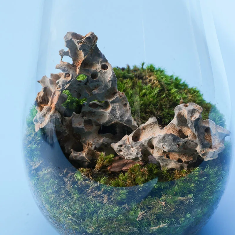 1pcs 4-6cm 자연 수족관 장식 돌 Rockery - Aquarium Marine Rock 리뷰 및 가격