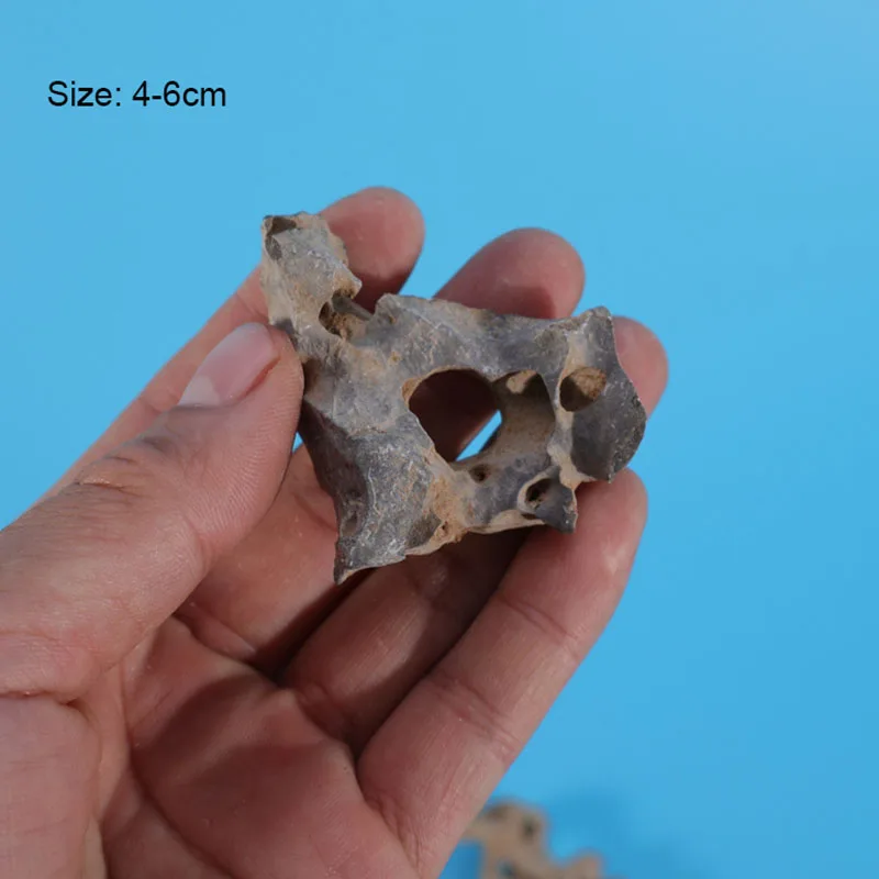 1pcs 4-6cm 자연 수족관 장식 돌 Rockery - Aquarium Marine Rock 리뷰 및 가격