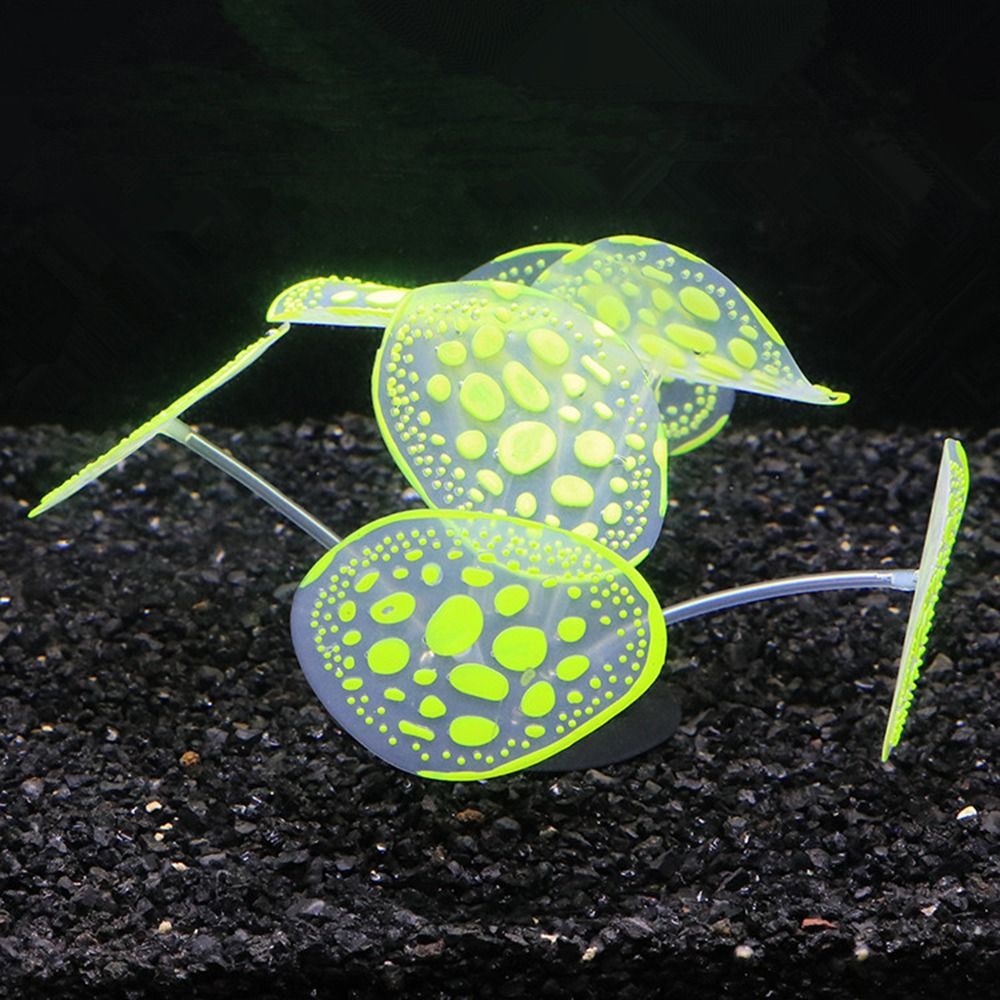 실리콘 빛나는 식물 인공 빛나는 시뮬레이션 산호 물고기 - Aquarium Marine Rock 리뷰 및 가격