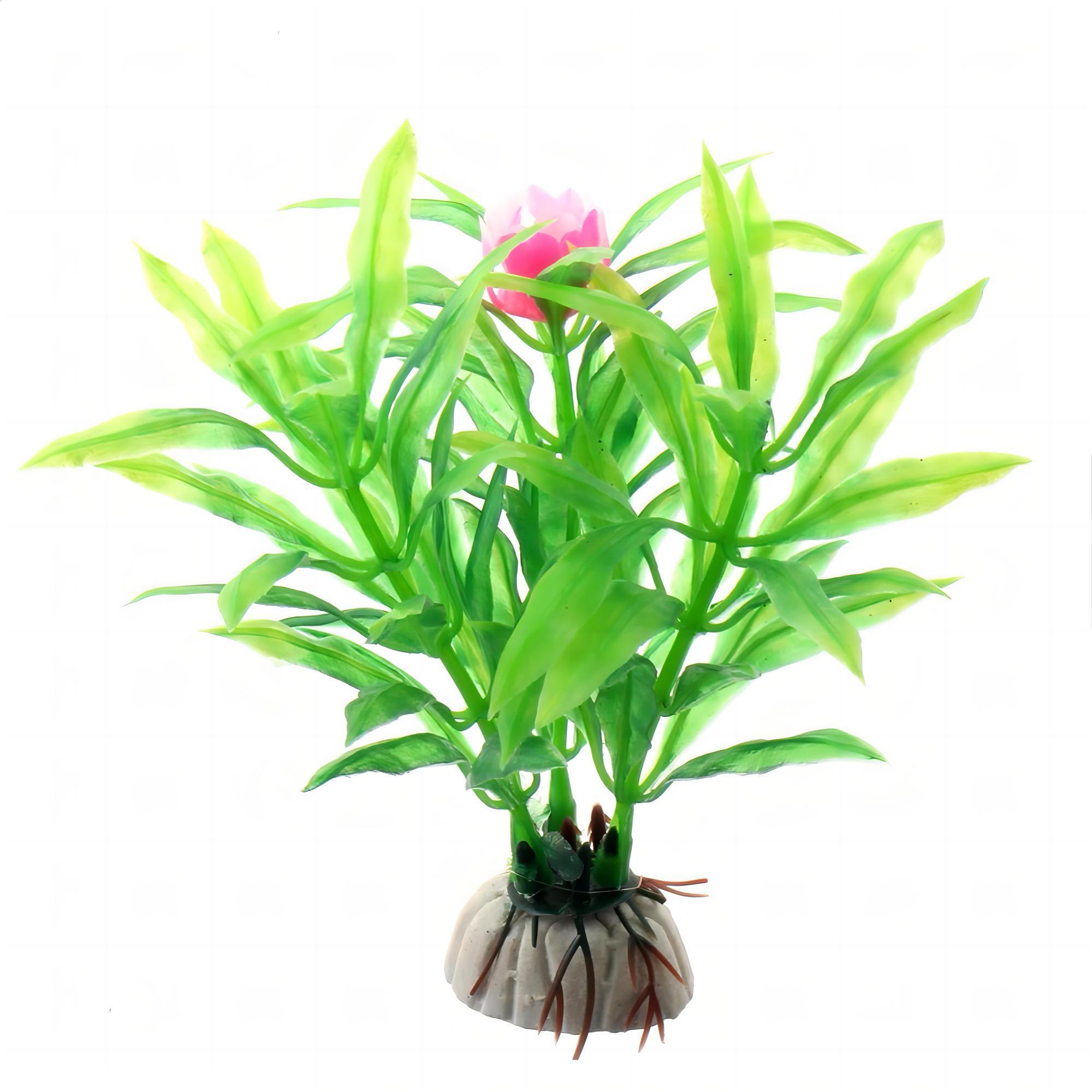 인공 수족관 식물 수생 녹색 식물 수족관 배경 물고기  - Aquarium Marine Rock 리뷰 및 가격