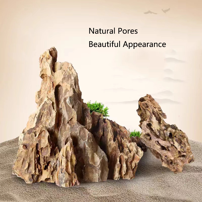 천연 수족관 장식 돌 바위 조경 어항 다공성 소나무 돌 - Aquarium Marine Rock 리뷰 및 가격