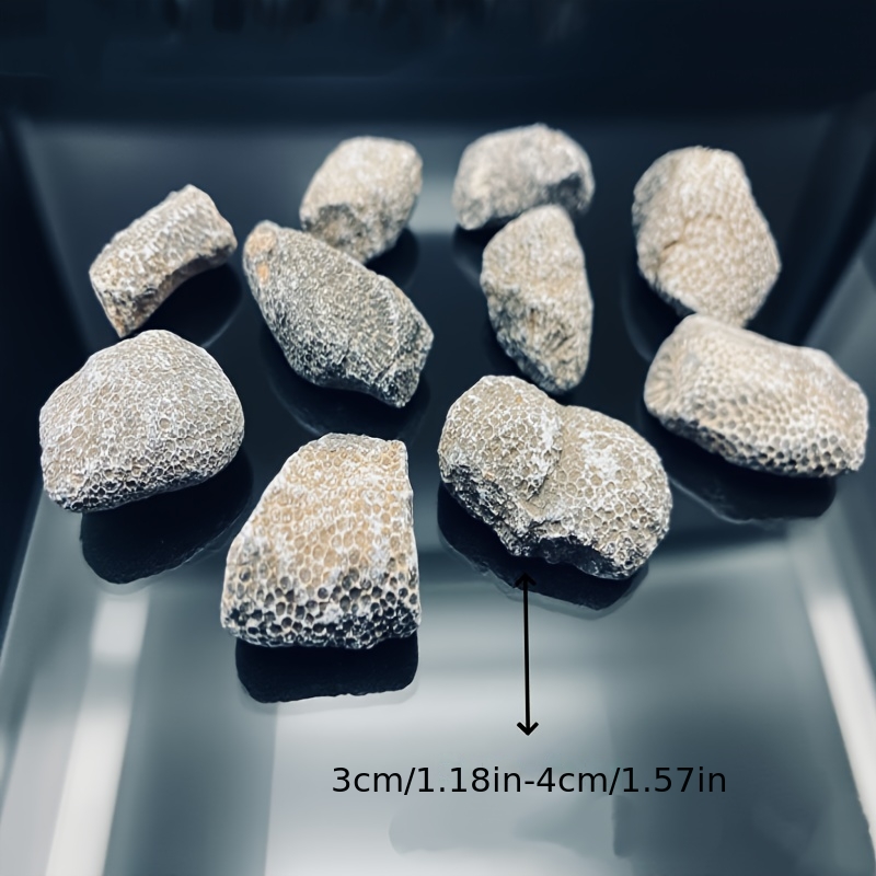 1개 천연 산호석 어항 및 수족관용 자연스러운 무작위  - Aquarium Marine Rock 리뷰 및 가격